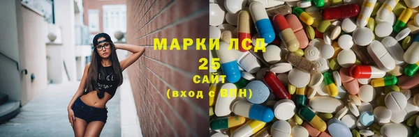 ГАЛЛЮЦИНОГЕННЫЕ ГРИБЫ Кулебаки