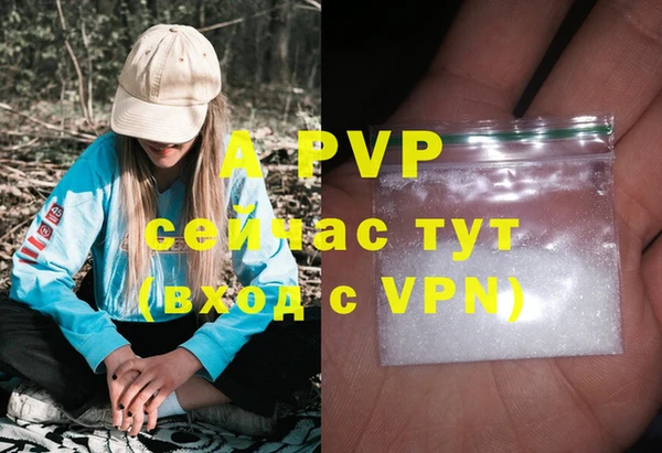 ГАЛЛЮЦИНОГЕННЫЕ ГРИБЫ Кулебаки