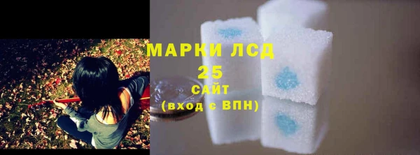 ГАЛЛЮЦИНОГЕННЫЕ ГРИБЫ Кулебаки