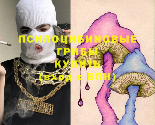 ГАЛЛЮЦИНОГЕННЫЕ ГРИБЫ Кулебаки