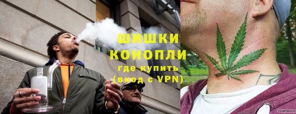 ГАЛЛЮЦИНОГЕННЫЕ ГРИБЫ Кулебаки