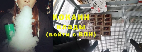 ГАЛЛЮЦИНОГЕННЫЕ ГРИБЫ Кулебаки