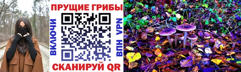 Галлюциногенные грибы Psilocybe  Грозный 